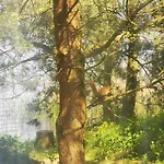 Ostoja Hébergement de vacances