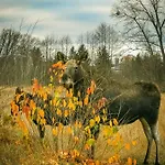 Ostoja Hébergement de vacances *