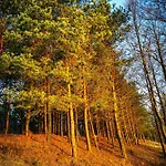 Hébergement de vacances Ostoja