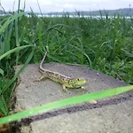 Ostoja Hébergement de vacances Stacze