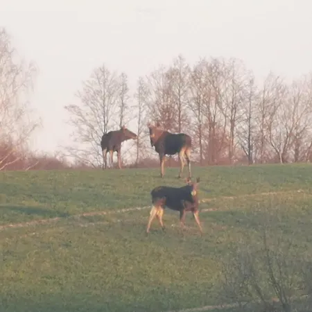Hébergement de vacances Ostoja *