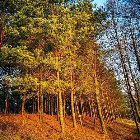 Hébergement de vacances Ostoja