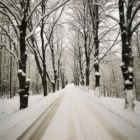 Ostoja בית נופש *