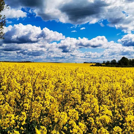 Hébergement de vacances Ostoja