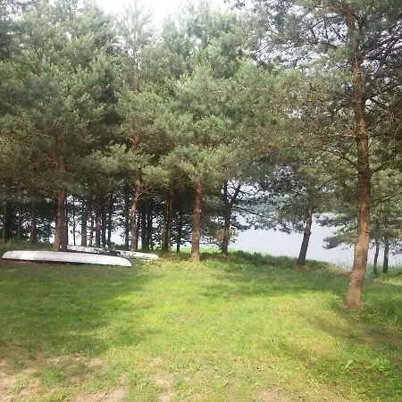 Ostoja