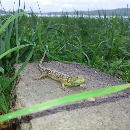 Ostoja Hébergement de vacances Stacze