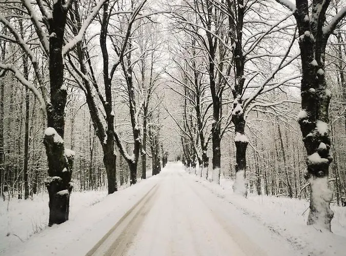 Ostoja Dom wakacyjny *