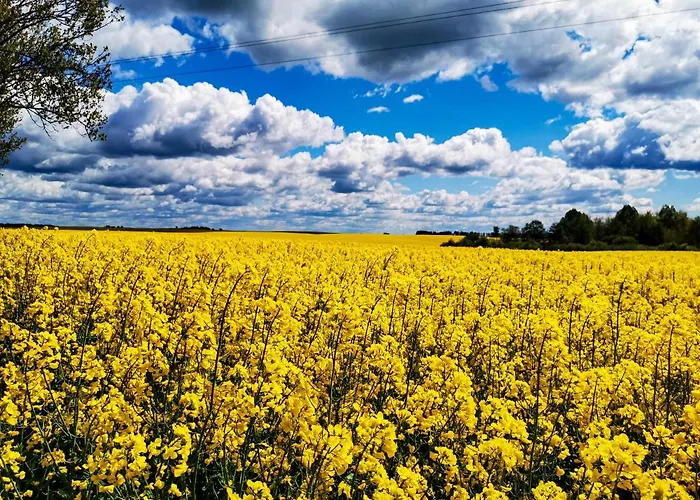 Dom wakacyjny Ostoja