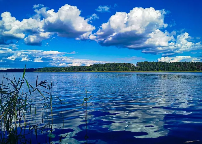 Ostoja Dom wakacyjny *